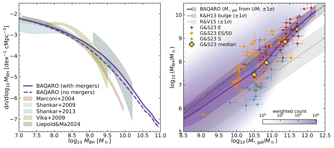Local black hole mass function and the black hole mass to stellar mass relation