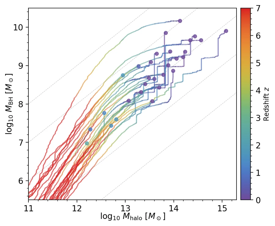Growth histories of individual black holes in the black hole mass versus halo mass plane, coloured by redshift